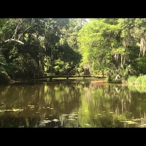 Meet your Posher, Dorothy